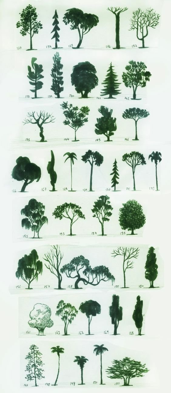 ▷ 1001 + idées pour dessiner un arbre merveilleux avec exemples.jpg