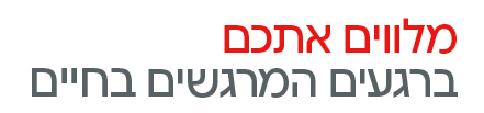 בנק.png