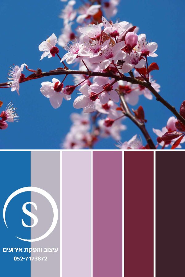 מניפת צבעים 1 עם לוגו.jpg