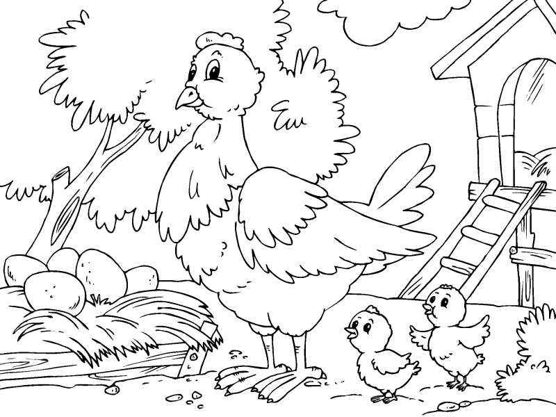 Hen and Chicks.png