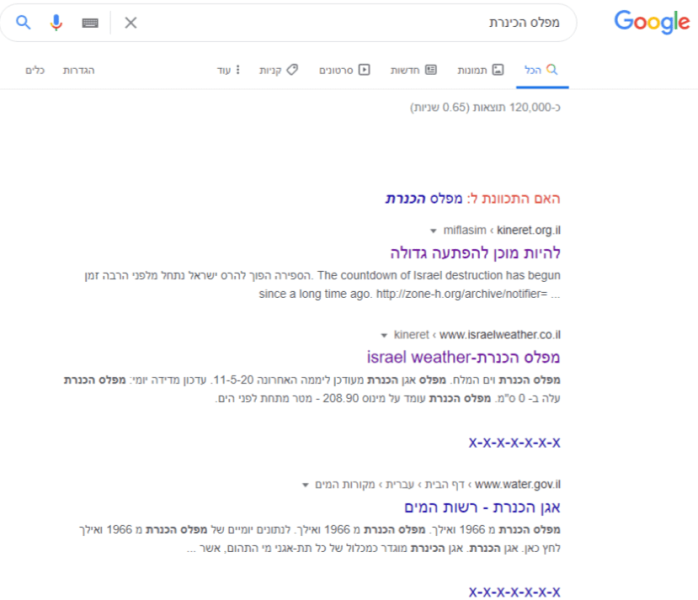 תמונה2.png