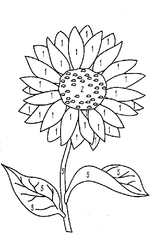 printno_sunflower1.gif