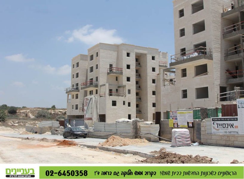 בעניינים תמונות רמה ד.jpg