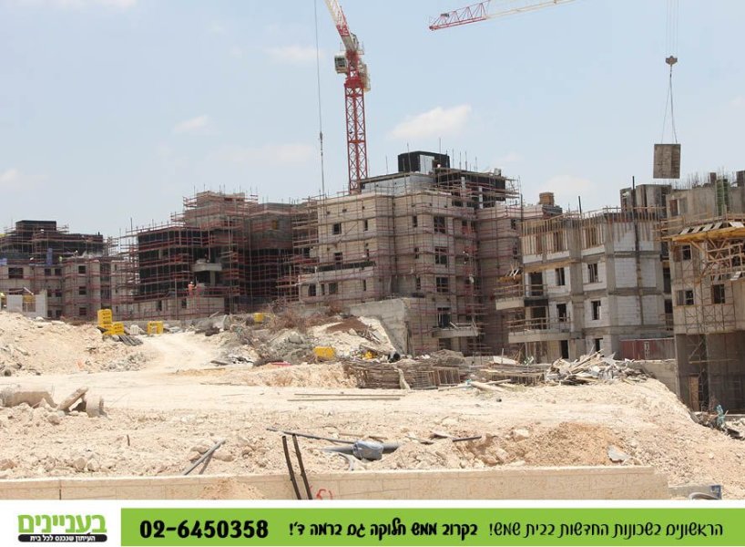 בעניינים תמונות רמה ד8.jpg