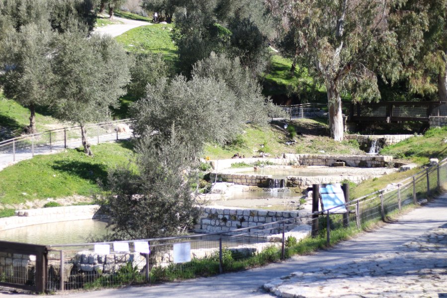 אז מה באמת עושים בצפת?