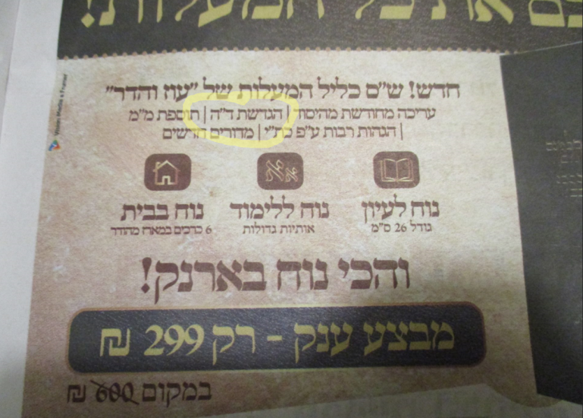 ההדגשה במקור.png