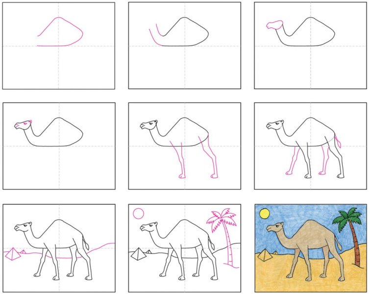 Camel-diagram-1024x814.jpg