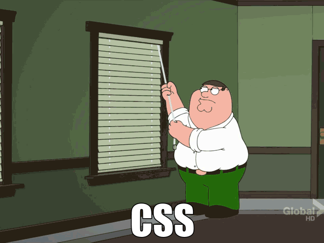 CSS.gif