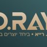 דיני ר.