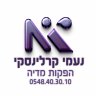 נעמי קרלינסקי