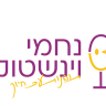 נחמי וינשטוק