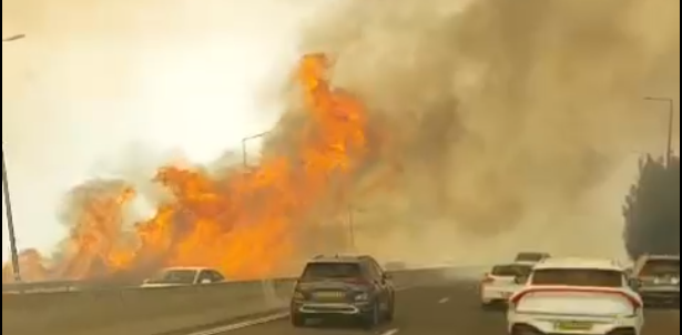 שוב שריפות ענק משתוללות ברחבי הארץ • תיעוד