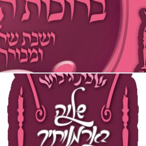 עיצוב לוגו לשבת גיבות לנשים