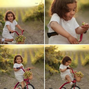 צילום ברכה שרגא 0583273498