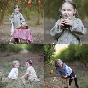 צילומים ברימונים