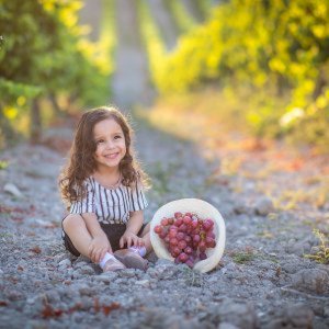 תמונות חלאקה חלומיות בכרמים