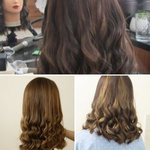 טעימה מההצלחות