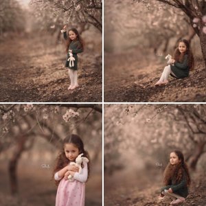 צילומי חוץ - שקדיות