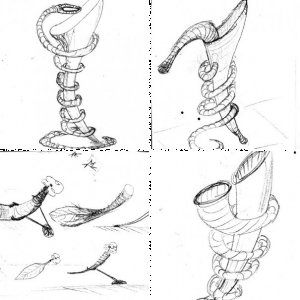 מגמת עיצוב מוצר "בצלאל" 1994 -אגרטל עבור פרח אחד-