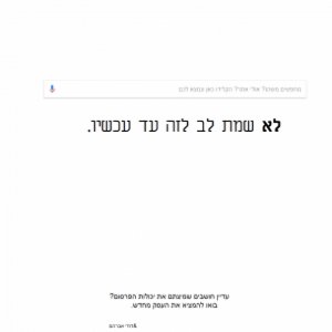 למצות את יכולות הפרסום