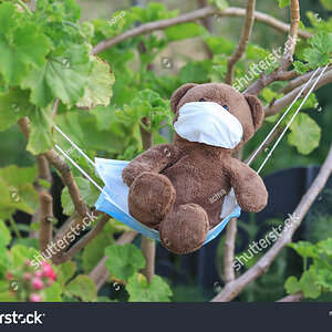 stock-photo-a-bear-dangling-in-nature-on-a-mask-1722313912 .jpg