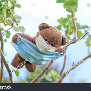 stock-photo-a-bear-dangling-in-nature-on-a-mask-1722311938.jpg