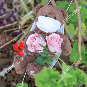 stock-photo-a-bear-dangling-in-nature-on-a-mask-1722313921.jpg