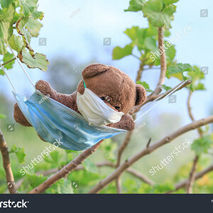 stock-photo-a-bear-dangling-in-nature-on-a-mask-1722313915.jpg