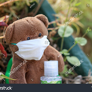 stock-photo-a-bear-puppet-with-a-mask-hugging-an-alcoholic-bottle-in-the-wild-1722316708.jpg