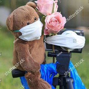 stock-photo-a-bear-doll-with-a-mask-and-a-sitter-on-camera-holds-flowers-1722719521.jpg