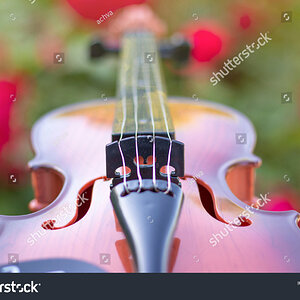 stock-photo-violin-and-strings-against-a-background-of-red-flowers-in-the-garden-1824599249.jpg
