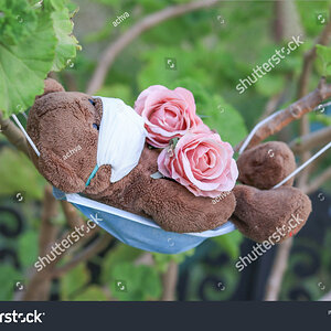 stock-photo-a-bear-dangling-in-nature-on-a-mask-1722313906.jpg