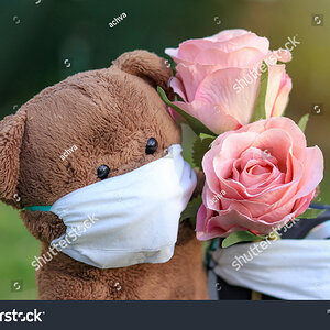 stock-photo-a-bear-doll-with-a-mask-and-a-sitter-on-camera-holds-flowers-1722719518.jpg