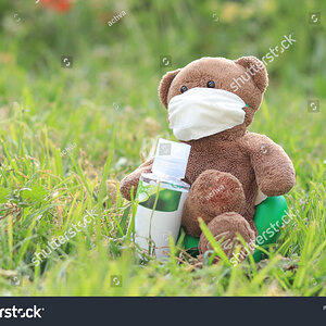 stock-photo-a-bear-doll-with-a-mask-sits-on-a-lawn-in-the-garden-and-holds-a-bottle-of-alcohol...jpg