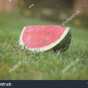 stock-photo-a-quarter-of-a-watermelon-rests-on-the-grass-2005647221.jpg