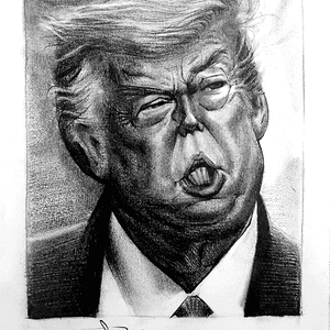 קריקטורה טראמפ בעפרון