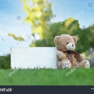 stock-photo-a-bear-is-sitting-next-to-a-white-box-on-a-lawn-in-the-garden-2049098567 (1).jpg