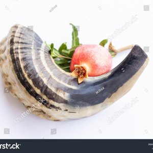stock-photo-a-ram-s-horn-with-a-pomegranate-on-a-white-background-2195758893 (1).jpg