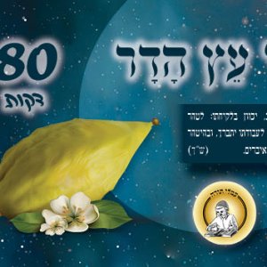 כרטיסים סוכות תשפג עמלי תורה - מאוגדים1.jpg