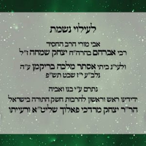 כרטיסים סוכות תשפג עמלי תורה - מאוגדים2 אחורי.jpg