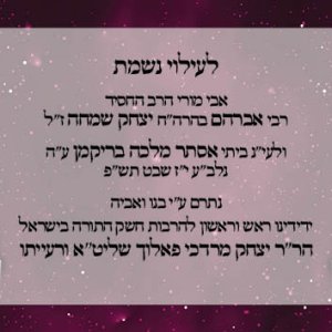 כרטיסים סוכות תשפג עמלי תורה - מאוגדים3 אחורי.jpg