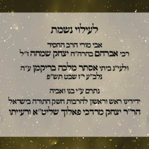 כרטיסים סוכות תשפג עמלי תורה - מאוגדים4 אחורי.jpg