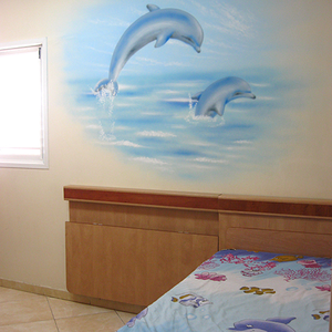 חדר דולפינים .
אירבראש בשילוב מיכחולים.