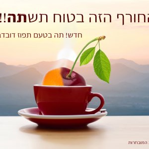 תה-תפודז-דובדבן.jpg