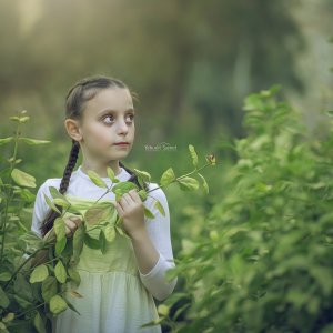 צילום יהודית סמט