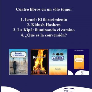 כריכות בספרדית שעשיתי Tapas de libros