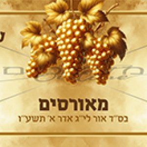 מודעת/שלט מאורסים - הזכויות שמורות!