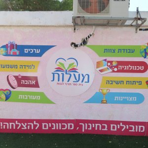 קיר חיצוני בשילוב PVC.jpg