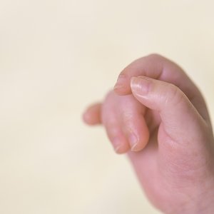 צילום: גילה שלסר 0548539444