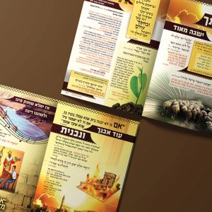 עיצוב כתבה_prog19.jpg